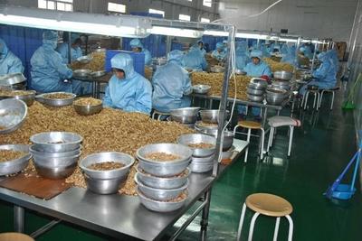 4個農(nóng)村冷門創(chuàng)業(yè)致富項目,每一個都隱藏大商機!做的人還不多!