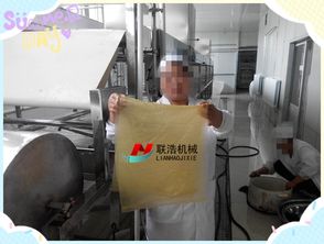 食品加工廠(chǎng)濟(jì)南聯(lián)浩全自動(dòng)大型腐竹油皮機(jī)一機(jī)多用